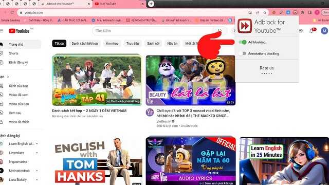 Công cụ hiển thị trên Youtube hỗ trợ chặn quảng cáo